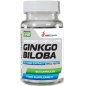  WestPharm Ginkgo Biloba 60  60 